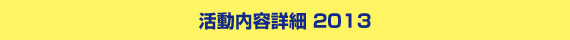 活動内容詳細2013